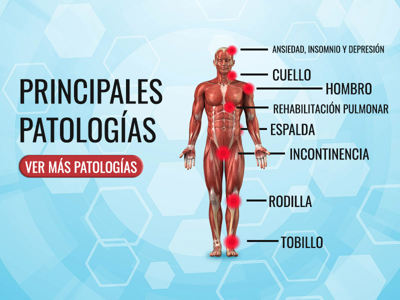 Padecimientos